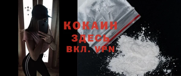 молекула духа Краснослободск