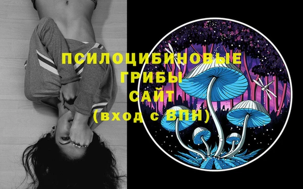 метадон Каменногорск