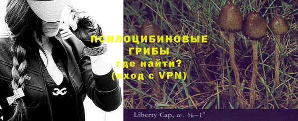 молекула духа Краснослободск