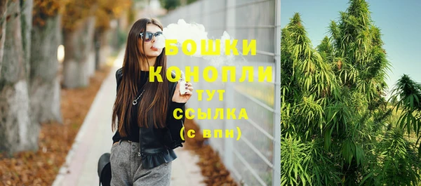 стаф Каменск-Шахтинский